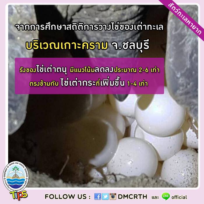เกร็ดความรู้ ทช.