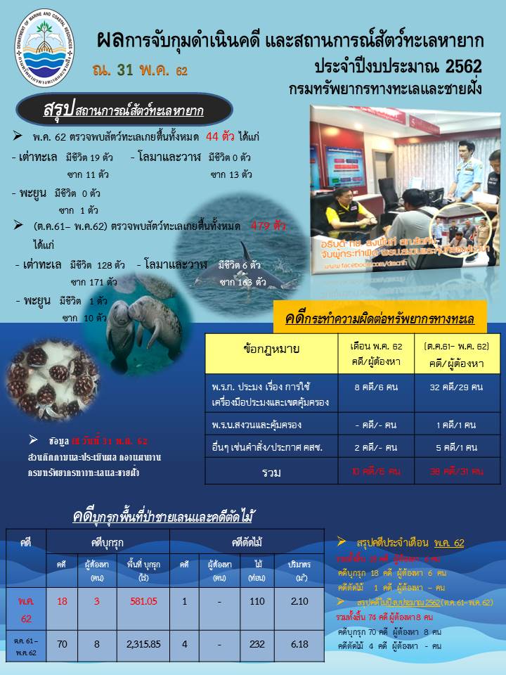 รายงานผลการจับกุมดำเนินคดีและสถานการณ์สัตว์ทะเลหายาก งปม.62 (ณ 31 พ.ค. 62)
