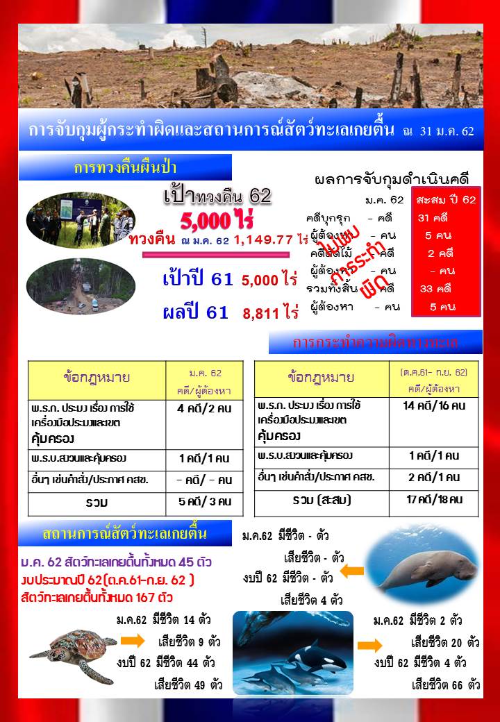 รายงานผลการจับกุมดำเนินคดีและสถานการณ์สัตว์ทะเลหายาก งปม.62 (ณ 31 ม.ค.62)