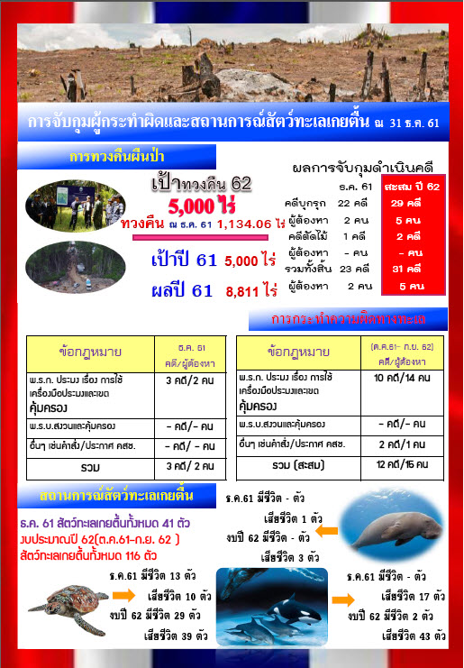รายงานผลการจับกุมดำเนินคดีและสถานการณ์สัตว์ทะเลหายาก งปม.62 (ณ 31 ธ.ค. 61)