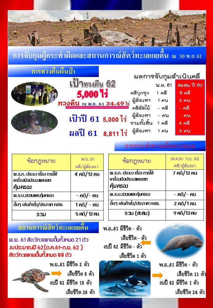 รายงานผลการจับกุมดำเนินคดีและสถานการณ์สัตว์ทะเลหายาก งปม.62 (ณ 30 พ.ย.61)